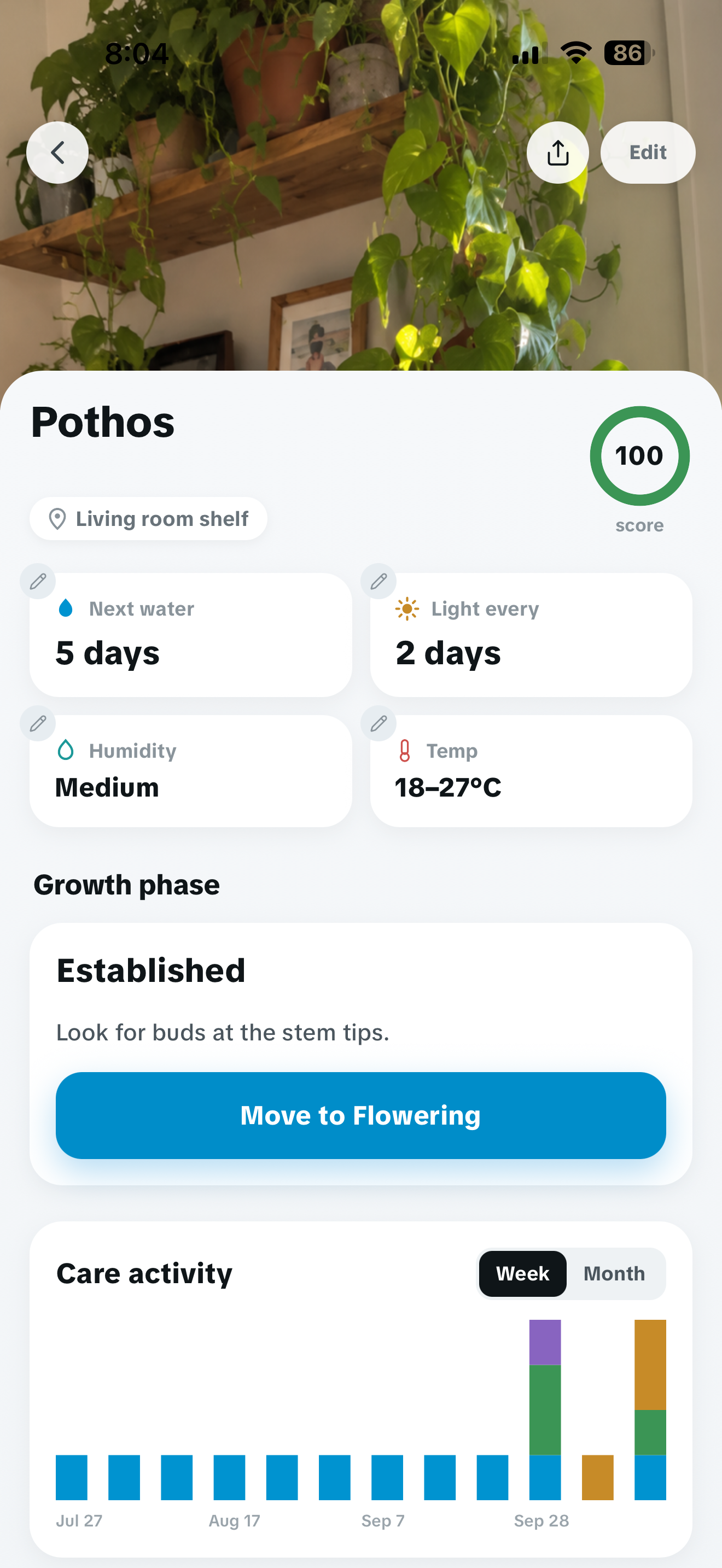 The plant detail screen in Kipos, with the next watering date, a light reminder, growth phase and a care activity chart.
